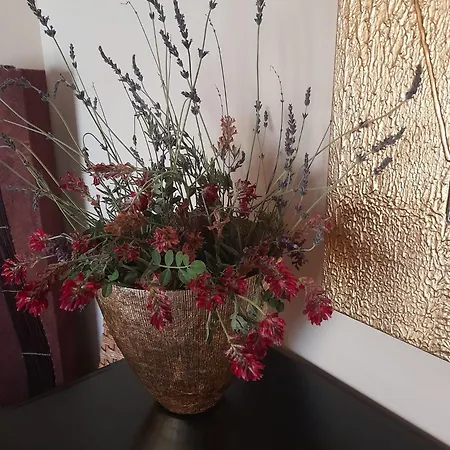 Apartment Le Maioliche *
